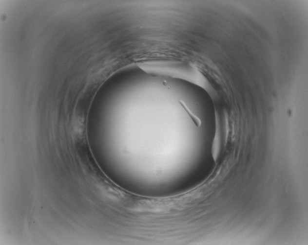 X0000062140033200512091226