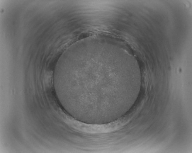 X0000062140034200512091226