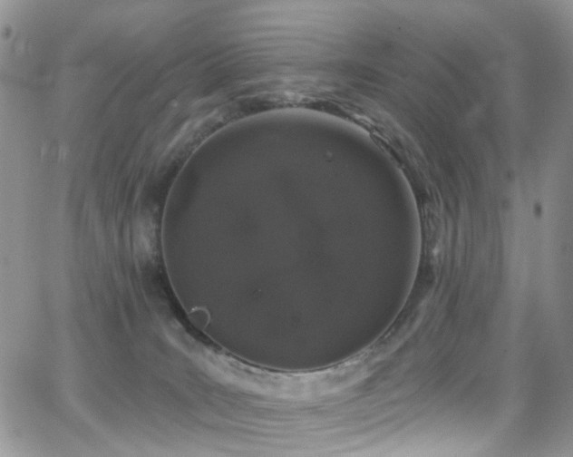 X0000062140035200512091226