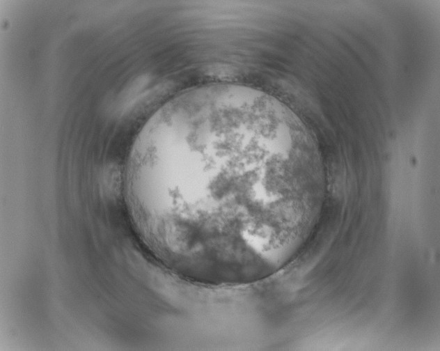 X0000062140036200512091226