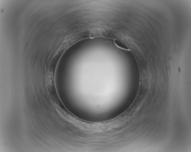 X0000062140038200512091226