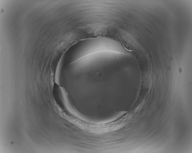 X0000062140039200512091226