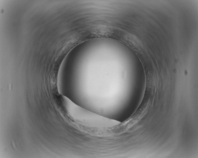 X0000062140040200512091226