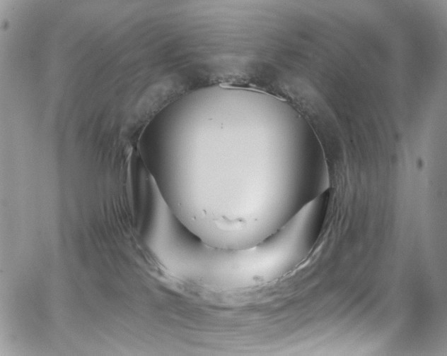 X0000062140041200512091226