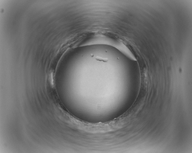 X0000062140042200512091226