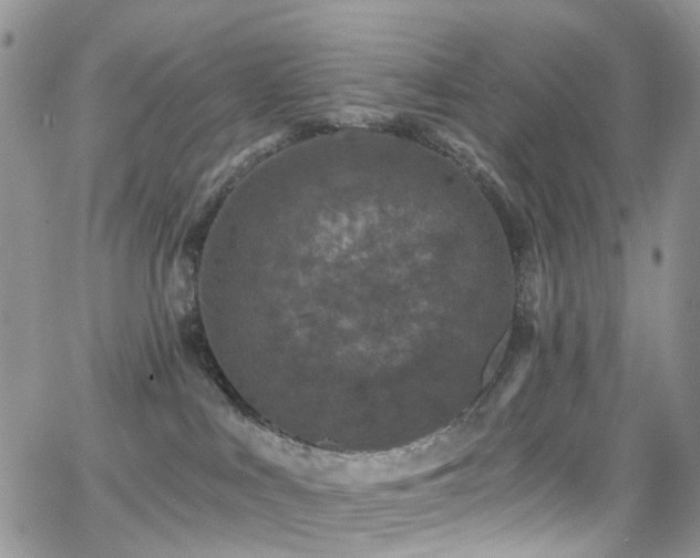 X0000062140043200512091226