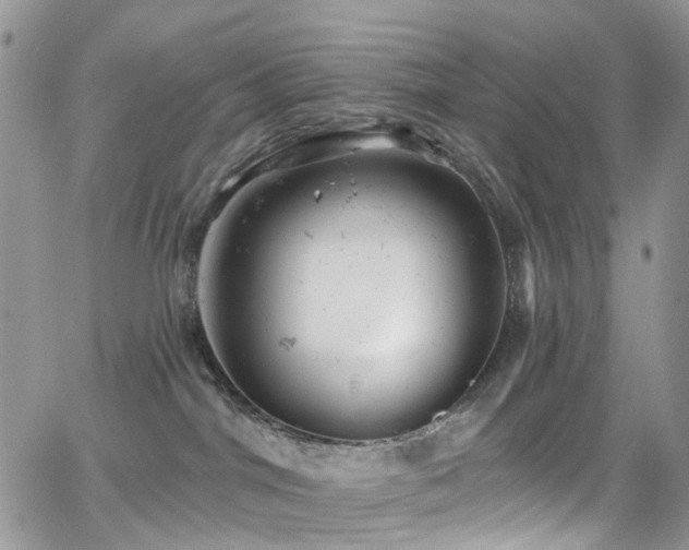 X0000062140044200512091226