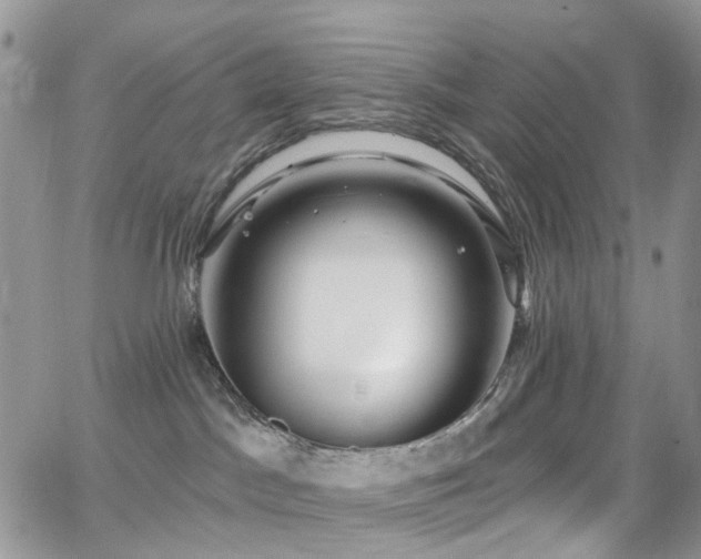 X0000062140045200512091226