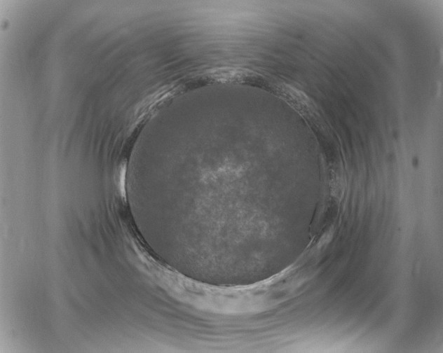 X0000062140047200512091226