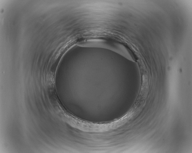 X0000062140048200512091226