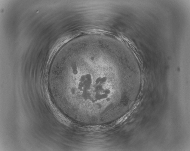 X0000062140049200512091225