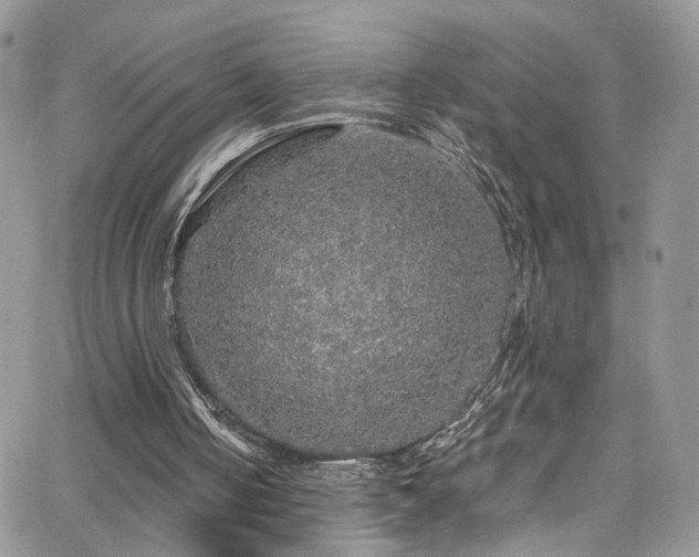 X0000062140050200512091225