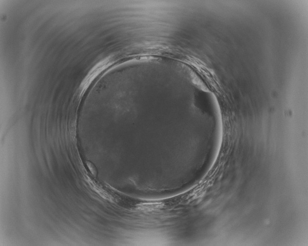 X0000062140051200512091225