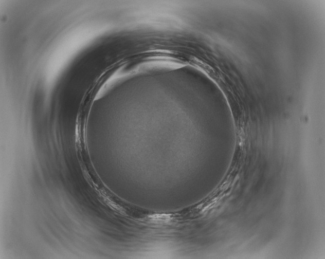 X0000062140052200512091225