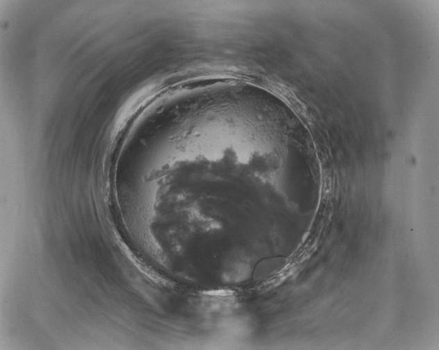 X0000062140053200512091225