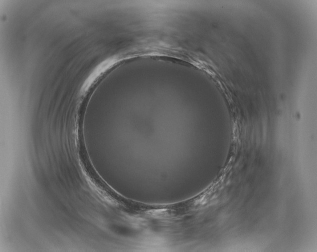 X0000062140054200512091225