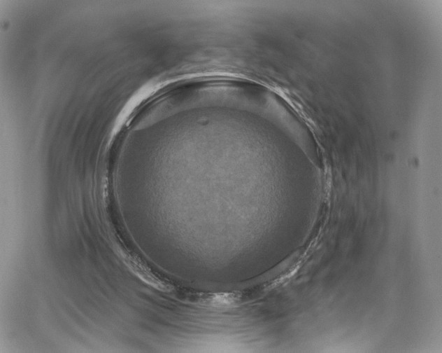 X0000062140056200512091225