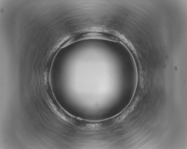 X0000062140057200512091225