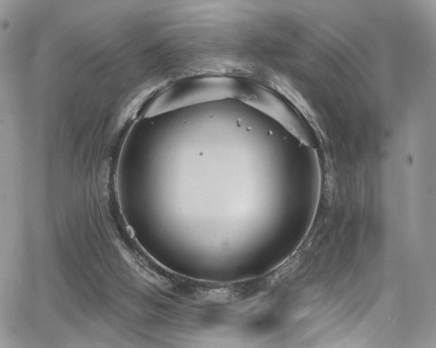 X0000062140058200512091225