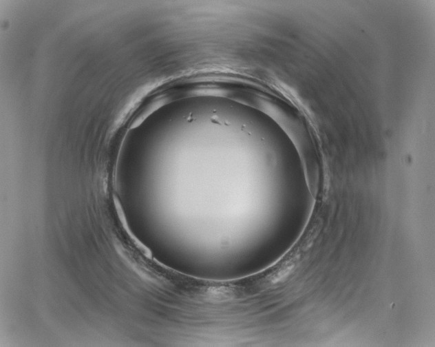 X0000062140060200512091225