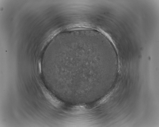 X0000062140061200512091225