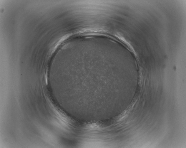 X0000062140062200512091225