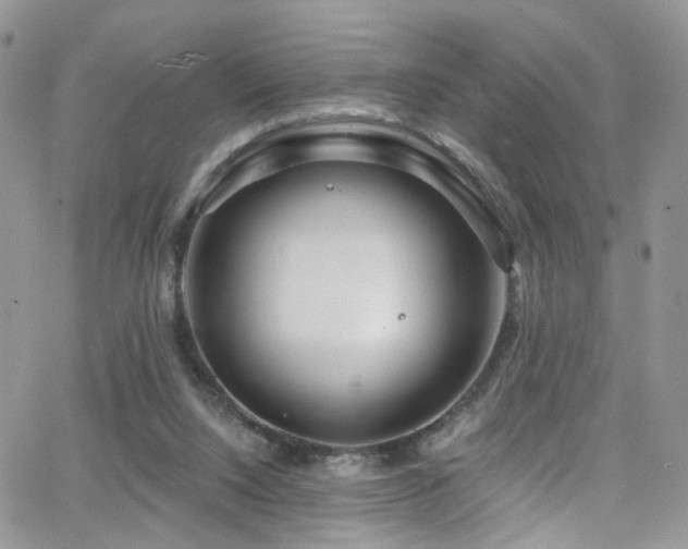 X0000062140064200512091225