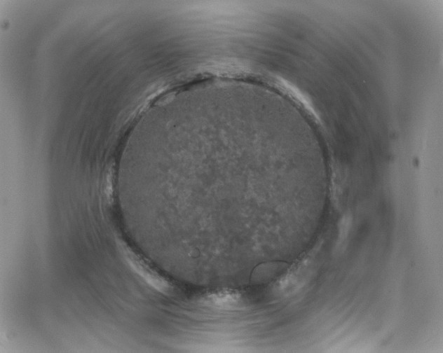 X0000062140065200512091226