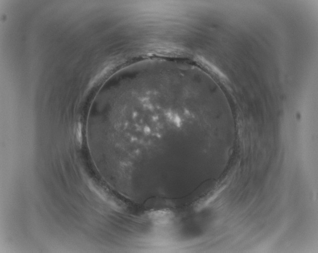 X0000062140067200512091226