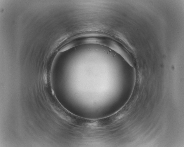 X0000062140068200512091226