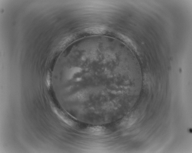 X0000062140069200512091226