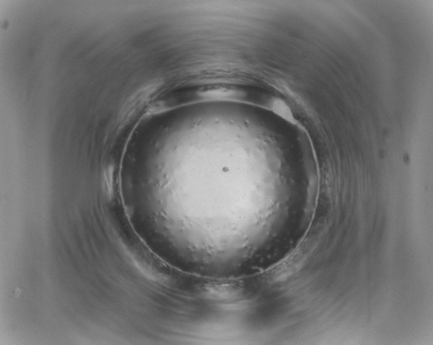 X0000062140070200512091226