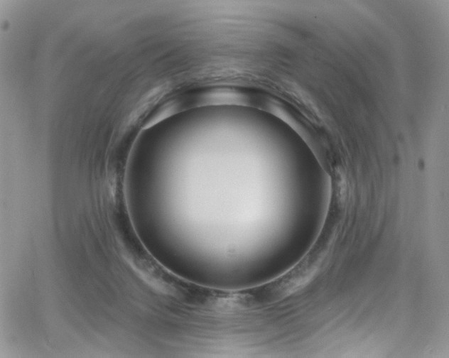 X0000062140072200512091226