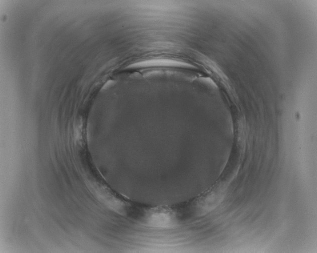 X0000062140073200512091226