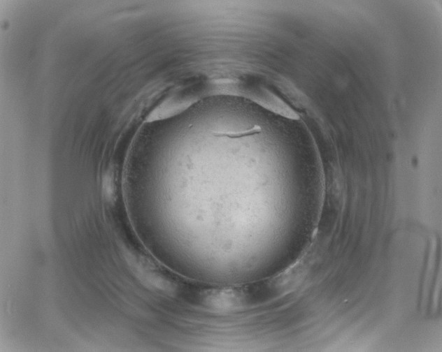 X0000062140074200512091226