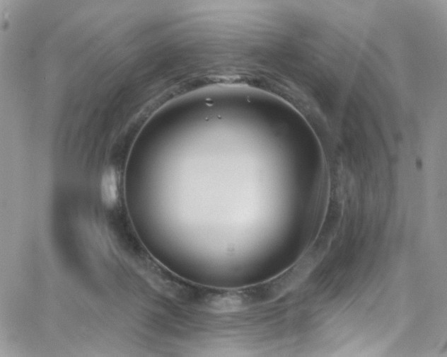 X0000062140075200512091226