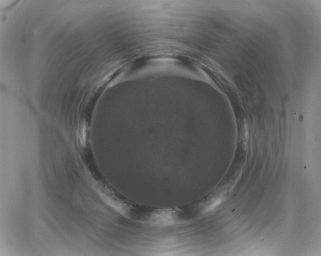 X0000062140076200512091226