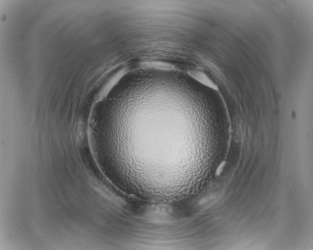 X0000062140077200512091226