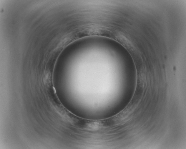 X0000062140079200512091226