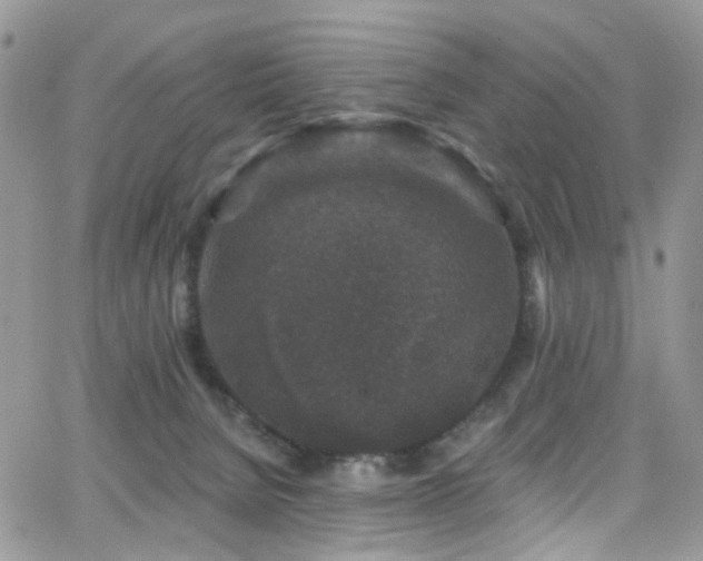 X0000062140080200512091226