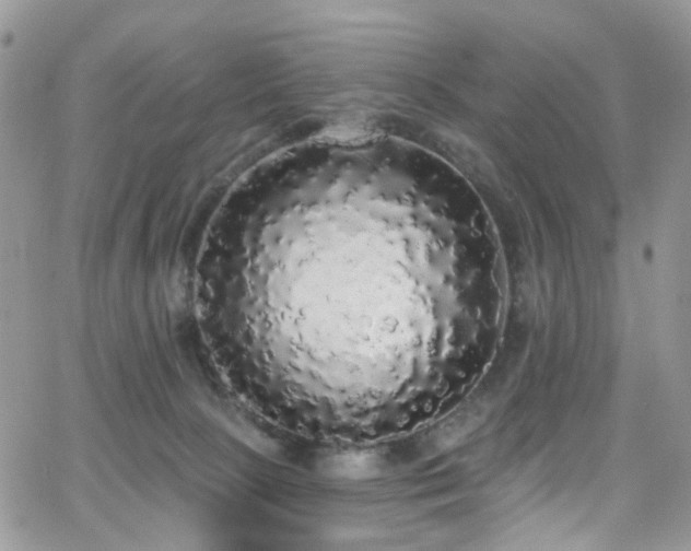 X0000062140081200512091226