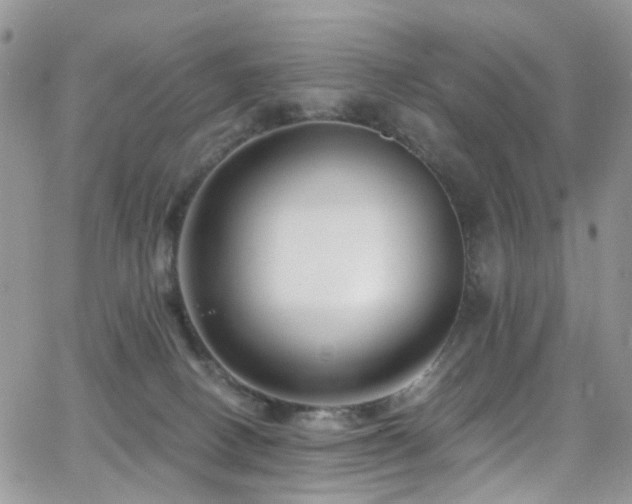 X0000062140082200512091226