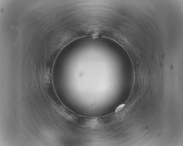 X0000062140083200512091226