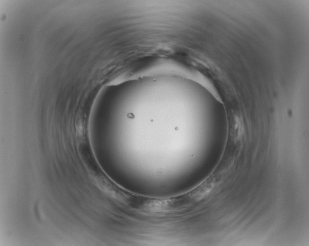 X0000062140084200512091226