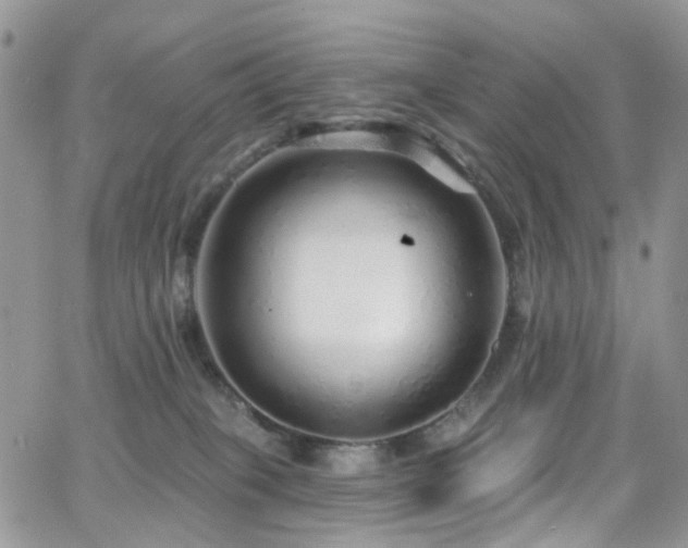 X0000062140085200512091226