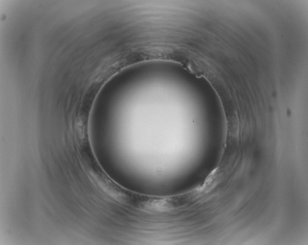 X0000062140086200512091226