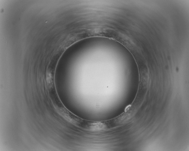 X0000062140087200512091226