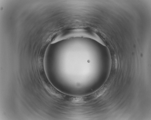 X0000062140088200512091226