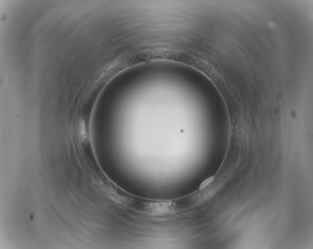 X0000062140089200512091226