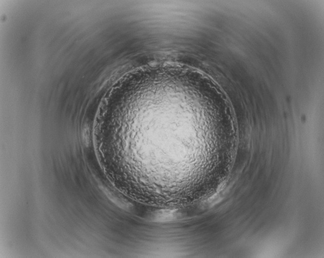 X0000062140090200512091226